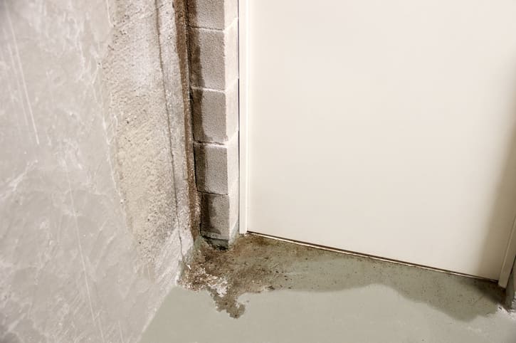 Water Damage in Basement